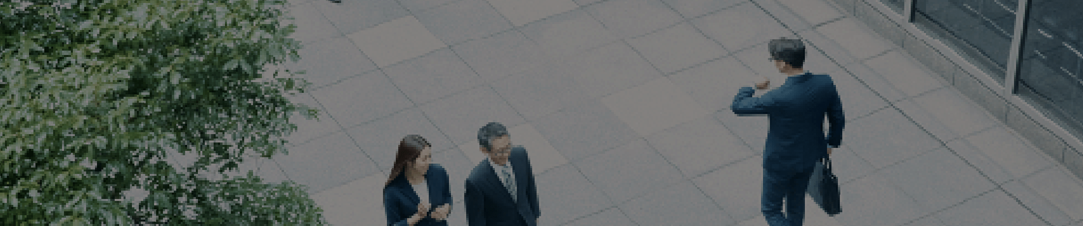 窓販・代理店部門 新たなチャネルを通じてマーケットを開拓