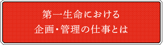 第一生命における企画・管理の仕事とは