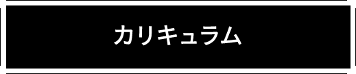 カリキュラム