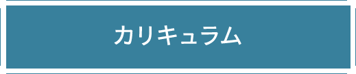 カリキュラム