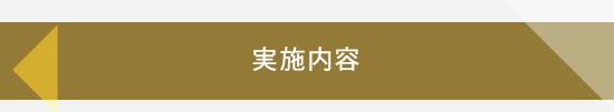 実施内容