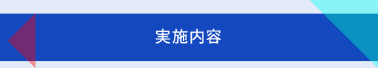 実施内容