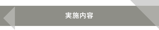 実施内容