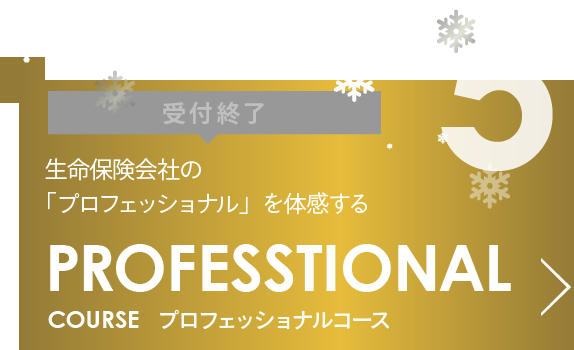 PROFESSIONAL COURSE  プロフェッショナルコース